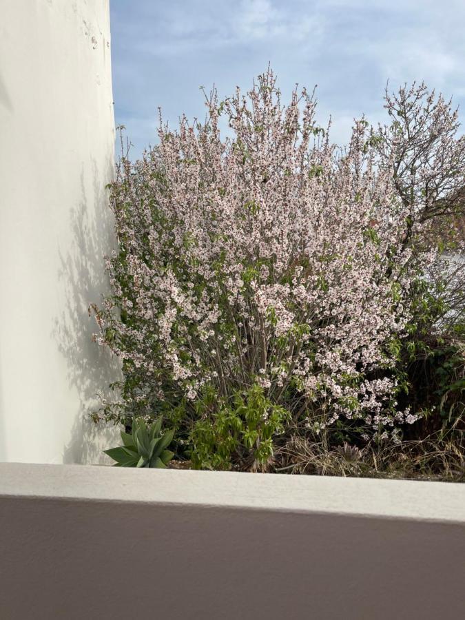 Casa Da Aldeia - Guest House Odiáxere المظهر الخارجي الصورة